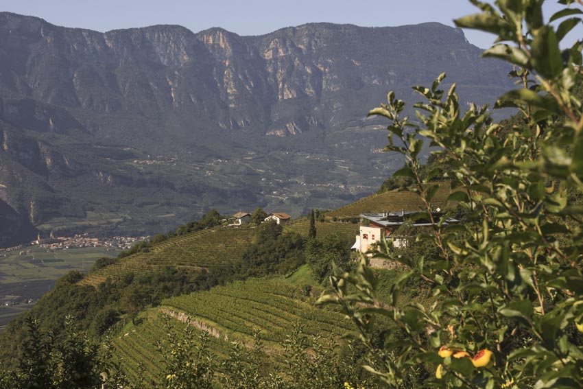 Blick über ein Tal in Südtirol auf einem Hang die Kellerei Aichholz